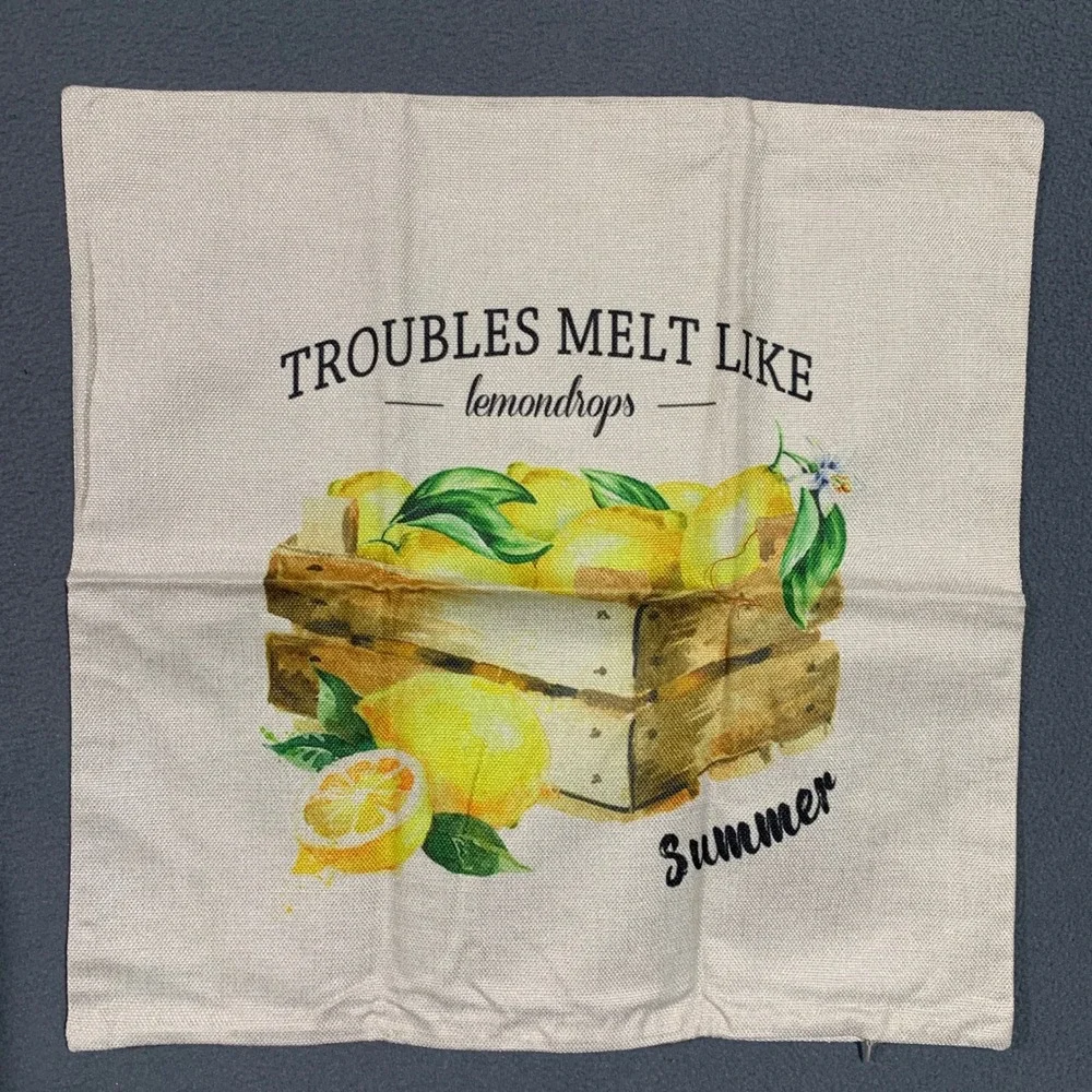 New Lemon Summer Sun Fun Outdoor Pillow Covers Square Pillowcase Set of 2 Zip Up